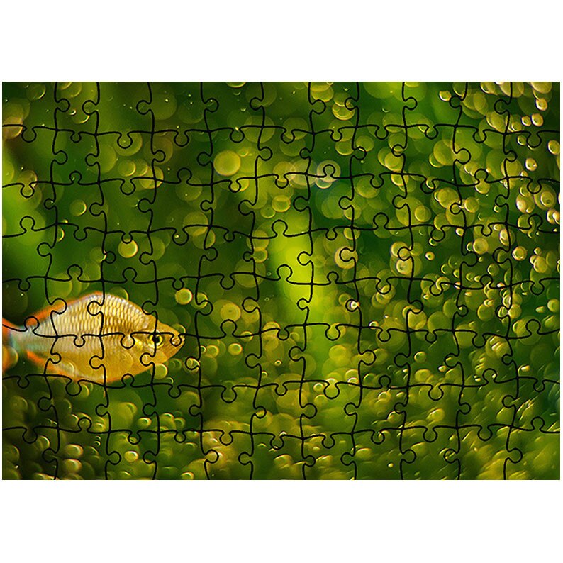 Puzzle Heartwork 96 piese, Pestisorul de aur, Latime 40,5 cm x Inaltime 28,5 cm