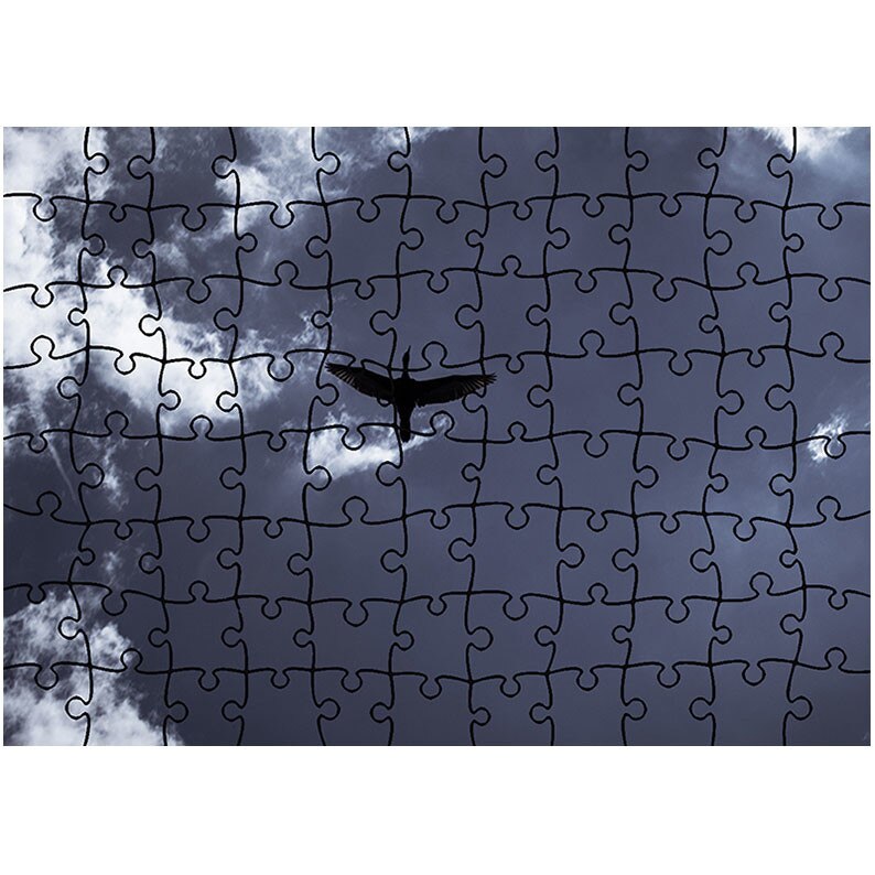 Puzzle Heartwork 96 piese, Rata in zbor, Latime 40,5 cm x Inaltime 28,5 cm