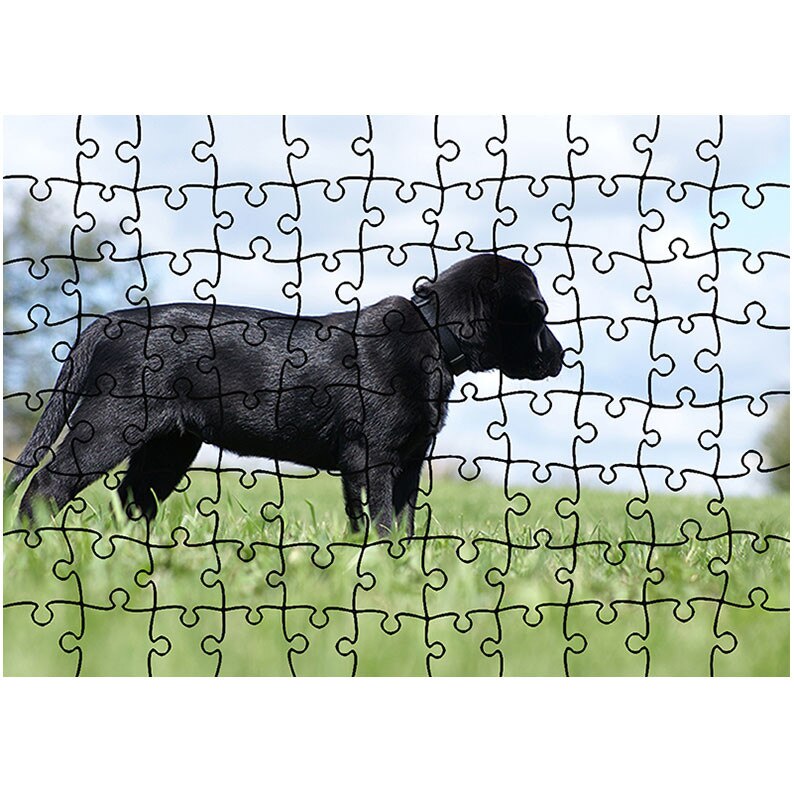 Puzzle Heartwork 96 piese, Labrador in curte, Latime 40,5 cm x Inaltime 28,5 cm