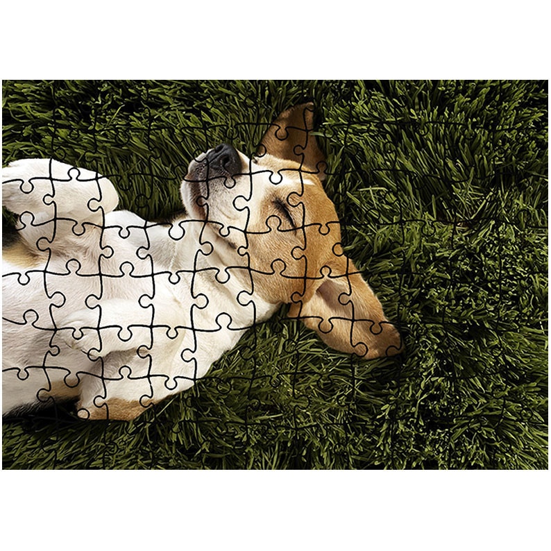 Puzzle Heartwork 96 piese, Caine rasfatat, Latime 40,5 cm x Inaltime 28,5 cm