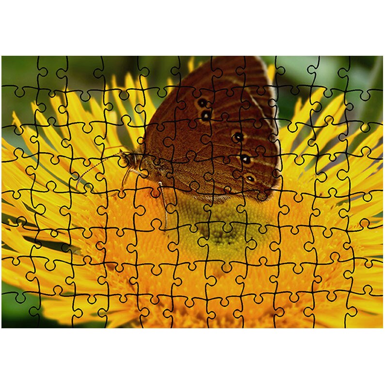 Puzzle Heartwork 96 piese, Fluture maroniu, Latime 40,5 cm x Inaltime 28,5 cm