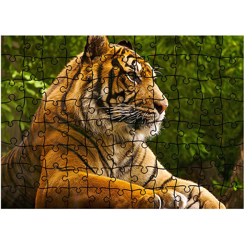 Puzzle Heartwork 96 piese, Tigru superb, Latime 40,5 cm x Inaltime 28,5 cm