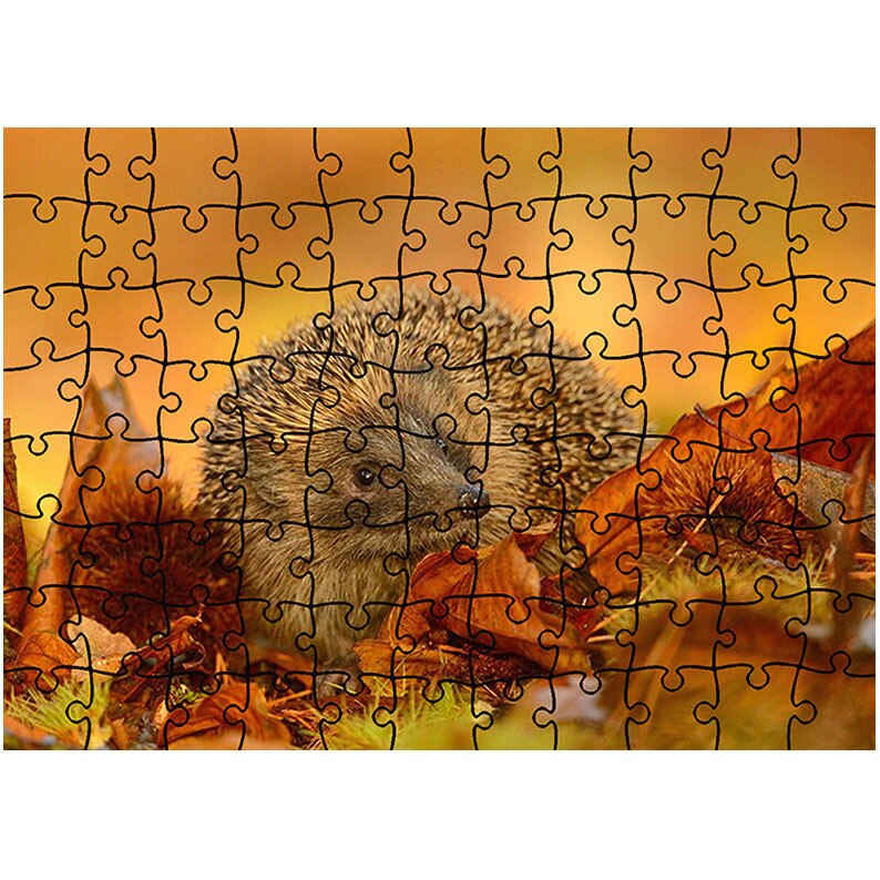 Puzzle Heartwork 96 piese, Arici in natura, Latime 40,5 cm x Inaltime 28,5 cm