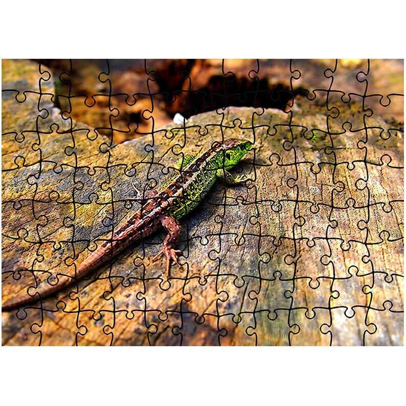 Puzzle Heartwork 96 piese, Soparla colorata, Latime 40,5 cm x Inaltime 28,5 cm