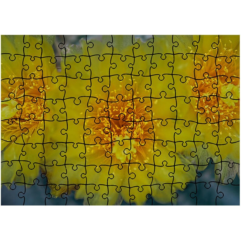 Puzzle Heartwork 96 piese, Flori galbene de cactus, Latime 40,5 cm x Inaltime 28,5 cm