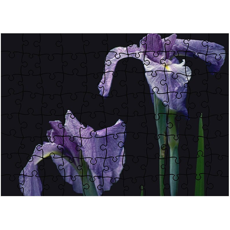 Puzzle Heartwork 96 piese, Doua violet, Latime 40,5 cm x Inaltime 28,5 cm