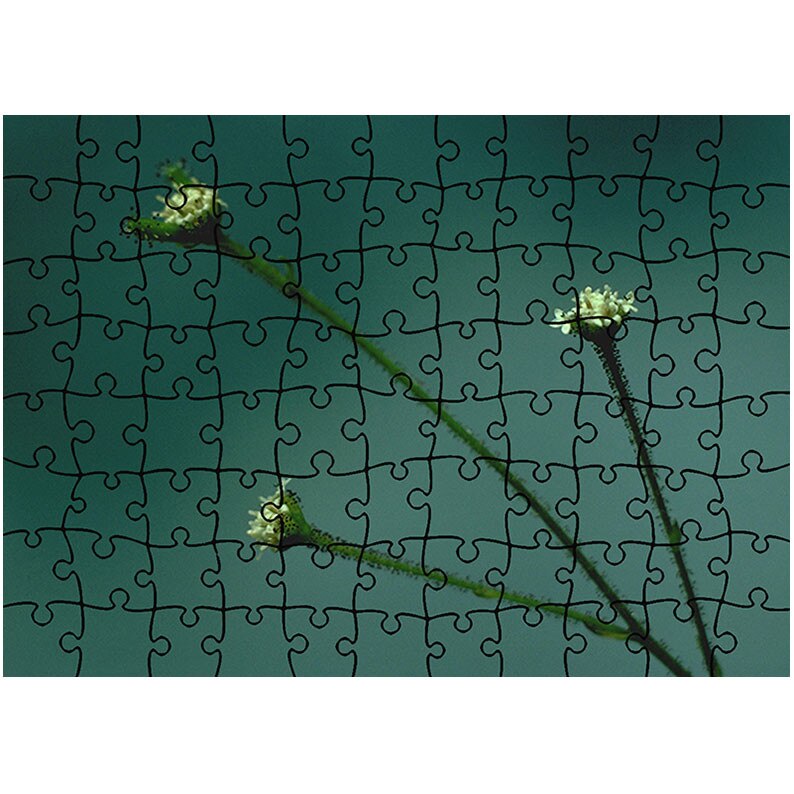 Puzzle Heartwork 96 piese, Trei fire, Latime 40,5 cm x Inaltime 28,5 cm