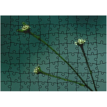 Puzzle Heartwork 96 piese, Trei fire, Latime 40,5 cm x Inaltime 28,5 cm Puzzle Heartwork 96 piese, Trei fire, Latime 40,5 cm x Inaltime 28,5 cm