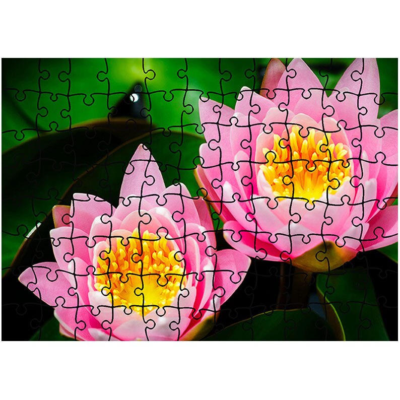 Puzzle Heartwork 96 piese, Lilieci de apa, Latime 40,5 cm x Inaltime 28,5 cm