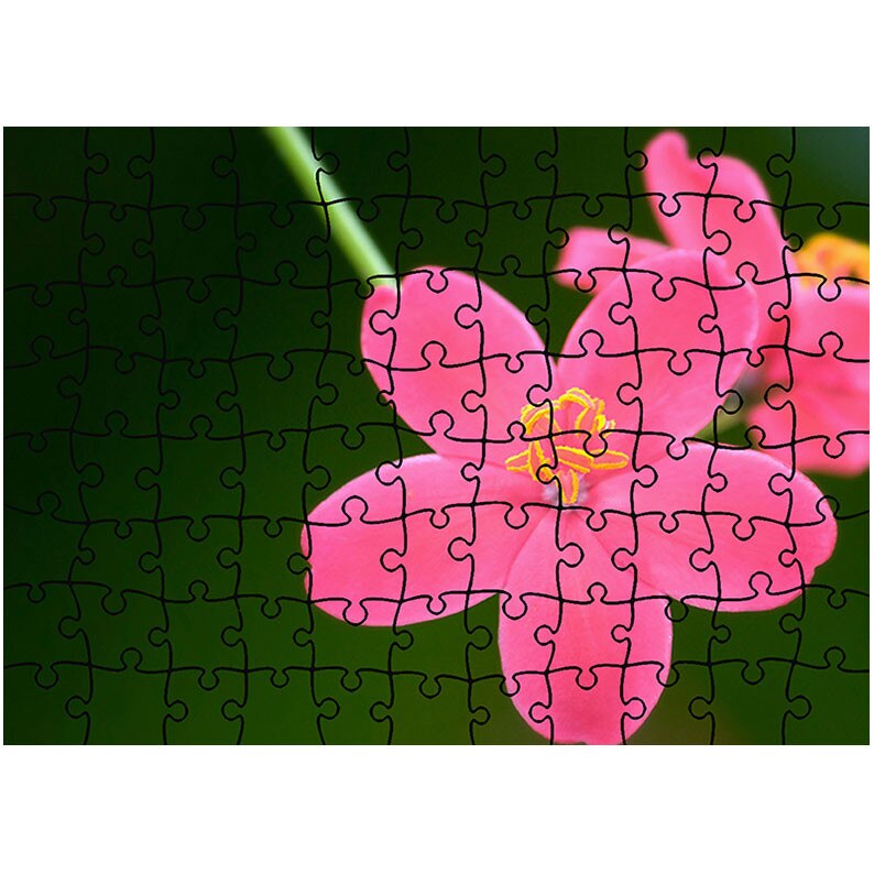 Puzzle Heartwork 96 piese, Flori Jatropha, Latime 40,5 cm x Inaltime 28,5 cm
