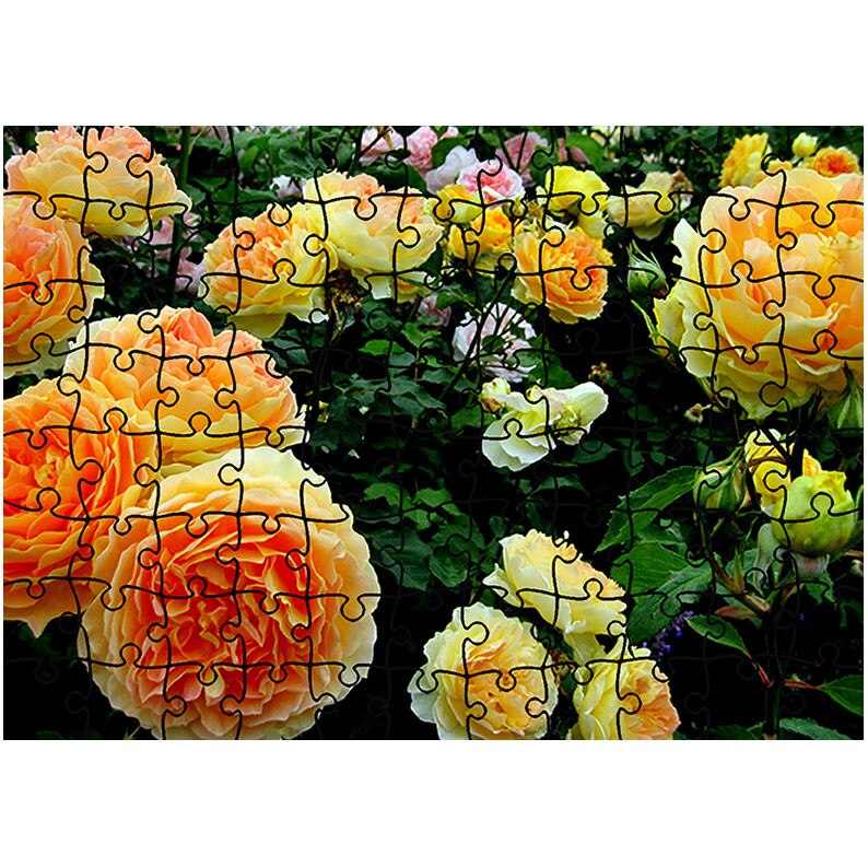 Puzzle Heartwork 96 piese, Gradina cu trandafiri, Latime 40,5 cm x Inaltime 28,5 cm
