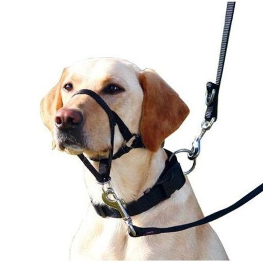 Botnita Trixie Top Trainer Negru L-XL 37 cm Gat 48-60 cm 13005