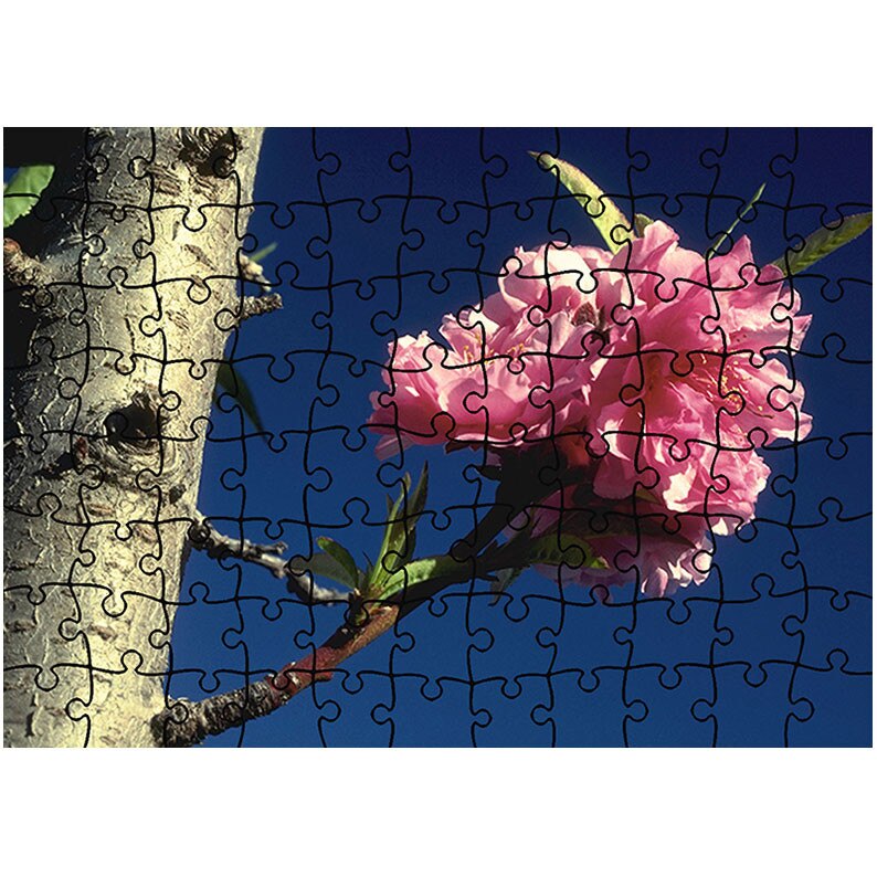 Puzzle Heartwork 96 piese, Viata, Latime 40,5 cm x Inaltime 28,5 cm