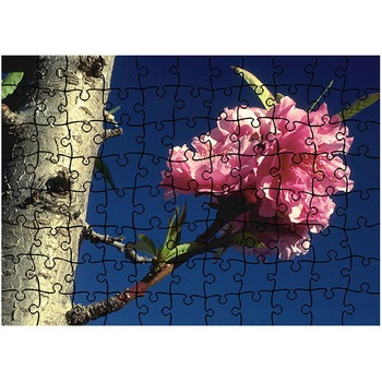 Puzzle Heartwork 96 piese, Viata, Latime 40,5 cm x Inaltime 28,5 cm Puzzle Heartwork 96 piese, Viata, Latime 40,5 cm x Inaltime 28,5 cm