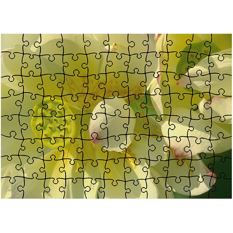 Puzzle Heartwork 96 piese, Flori firave, Latime 40,5 cm x Inaltime 28,5 cm