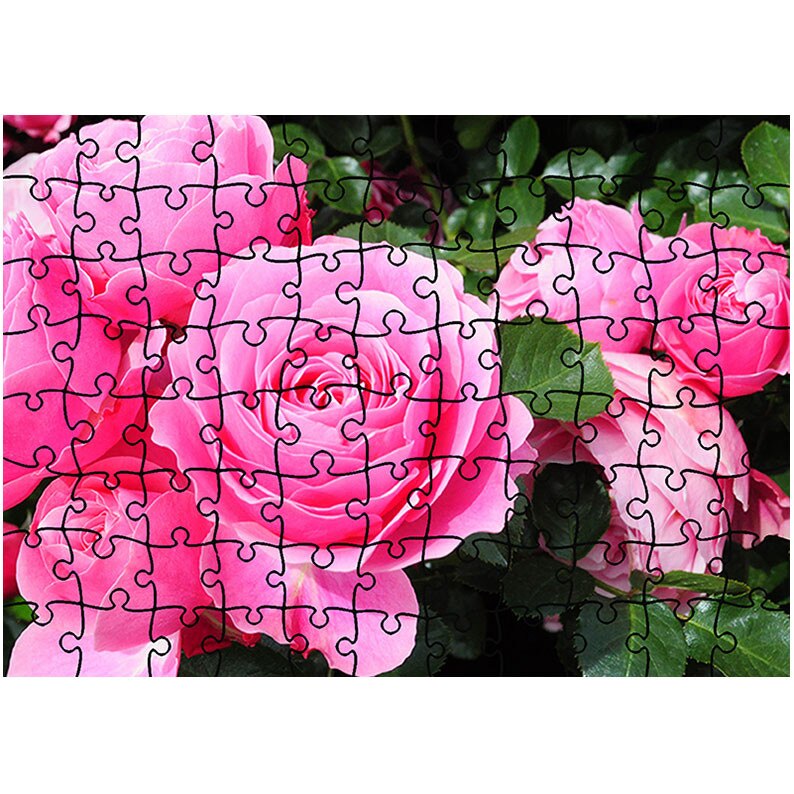 Puzzle Heartwork 96 piese, Trandafirii sunt roz, Latime 40,5 cm x Inaltime 28,5 cm
