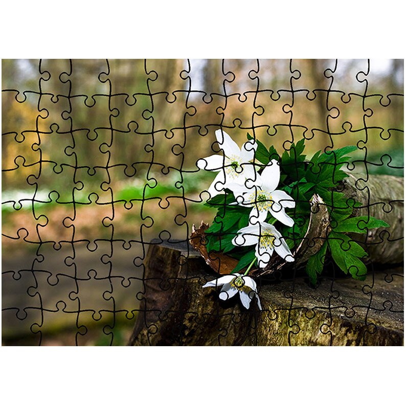 Puzzle Heartwork 96 piese, Flori de padure, Latime 40,5 cm x Inaltime 28,5 cm