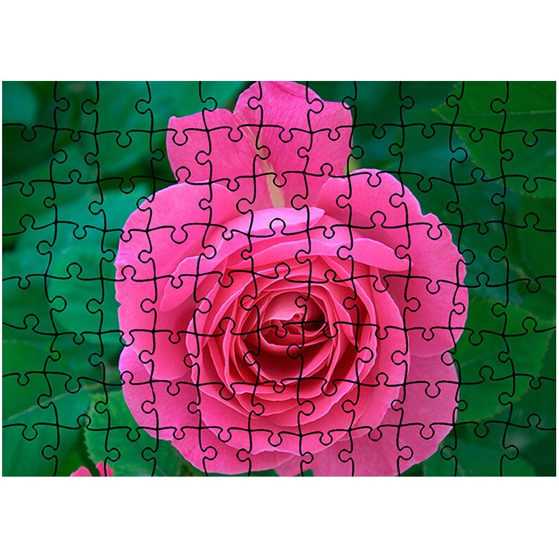 Puzzle Heartwork 96 piese, Trandafir rozaliu, Latime 40,5 cm x Inaltime 28,5 cm
