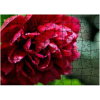 Puzzle Heartwork 96 piese, Bujori rosii, Latime 40,5 cm x Inaltime 28,5 cm Puzzle Heartwork 96 piese, Bujori rosii, Latime 40,5 cm x Inaltime 28,5 cm