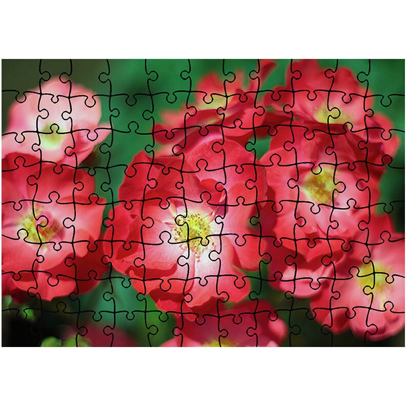 Puzzle Heartwork 96 piese, Trandafiri de gradina, Latime 40,5 cm x Inaltime 28,5 cm