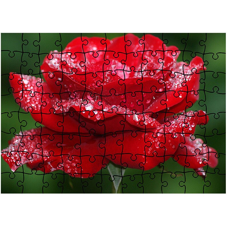 Puzzle Heartwork 96 piese, Fir de trandafir plouat, Latime 40,5 cm x Inaltime 28,5 cm