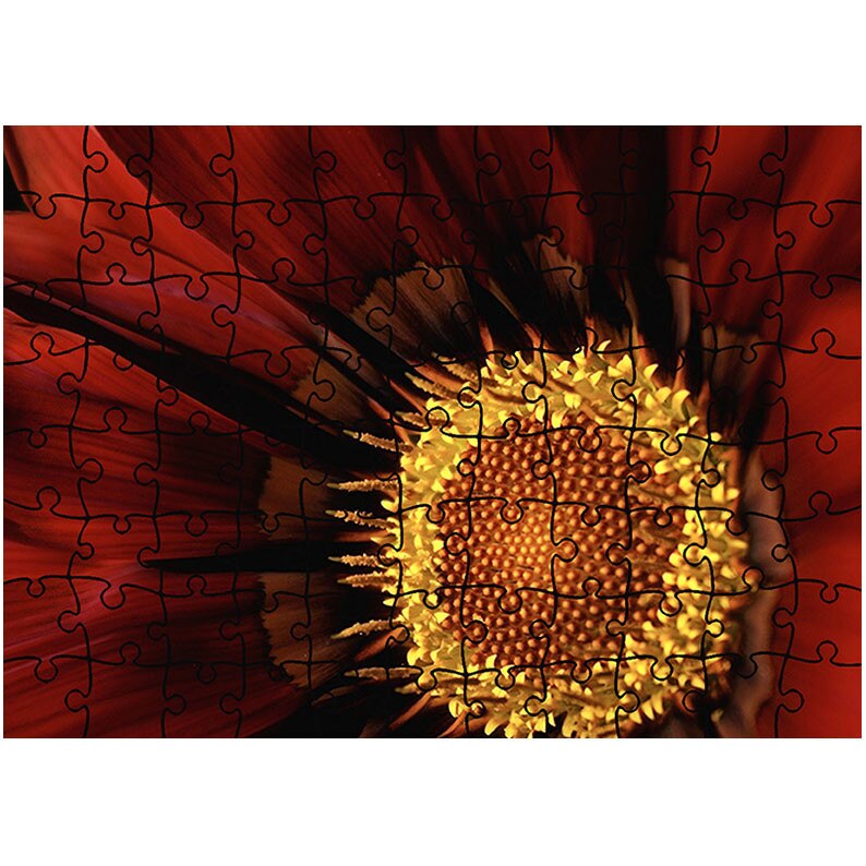 Puzzle Heartwork 96 piese, Floare Gazania, Latime 40,5 cm x Inaltime 28,5 cm