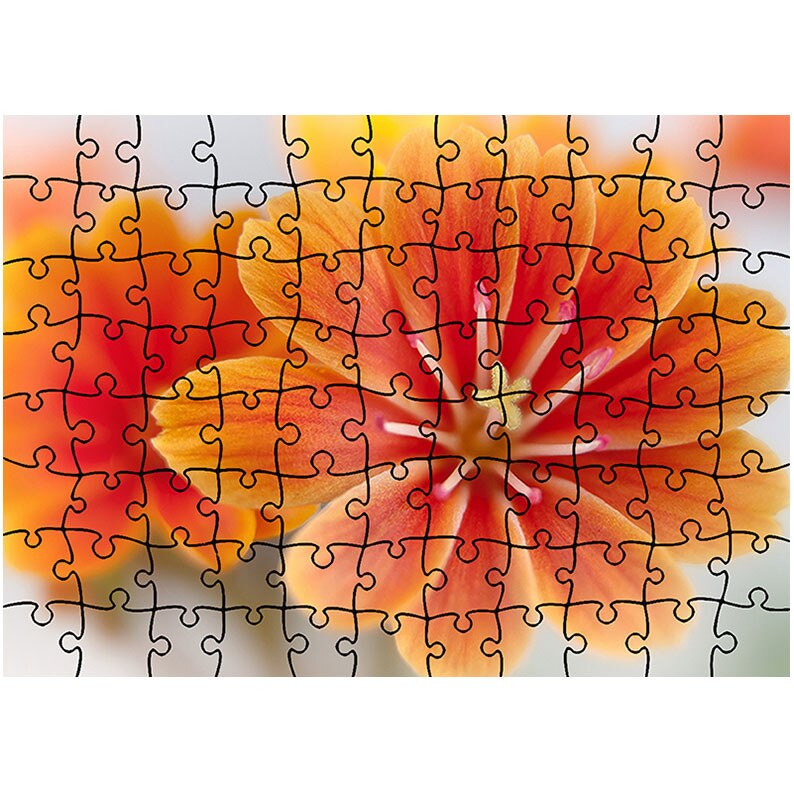 Puzzle Heartwork 96 piese, Floare Lewisia, Latime 40,5 cm x Inaltime 28,5 cm