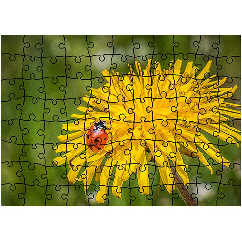Puzzle Heartwork 96 piese, Buburuza pe floare de papadie, Latime 40,5 cm x Inaltime 28,5 cm