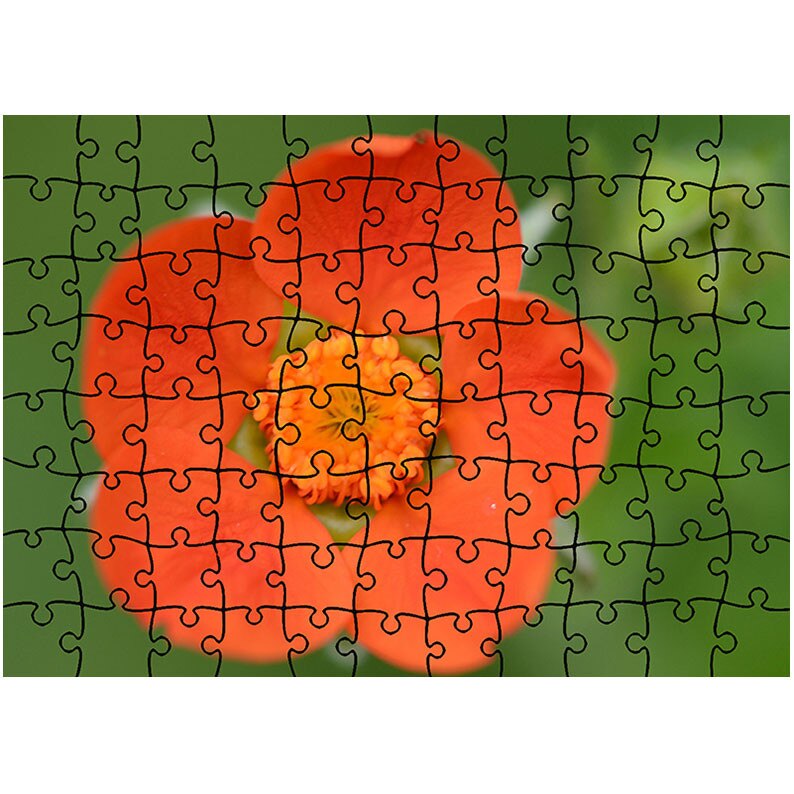 Puzzle Heartwork 96 piese, O floare portocalie, Latime 40,5 cm x Inaltime 28,5 cm