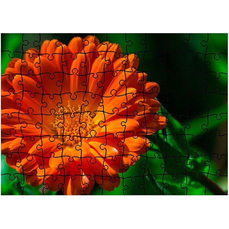 Puzzle Heartwork 96 piese, Portocaliu si verde, Latime 40,5 cm x Inaltime 28,5 cm