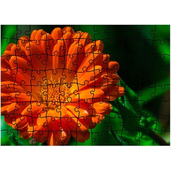 Puzzle Heartwork 96 piese, Portocaliu si verde, Latime 40,5 cm x Inaltime 28,5 cm Puzzle Heartwork 96 piese, Portocaliu si verde, Latime 40,5 cm x Inaltime 28,5 cm