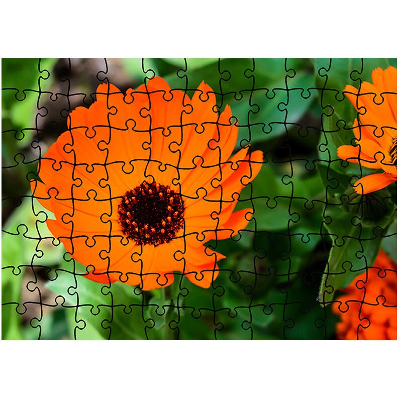 Puzzle Heartwork 96 piese, Flori portocalii, Latime 40,5 cm x Inaltime 28,5 cm