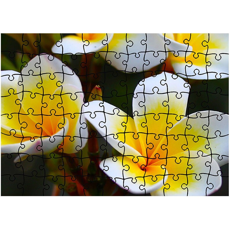 Puzzle Heartwork 96 piese, Flori Frangipani, Latime 40,5 cm x Inaltime 28,5 cm