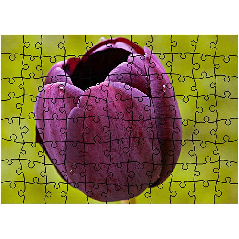 Puzzle Heartwork 96 piese, O lalea, Latime 40,5 cm x Inaltime 28,5 cm