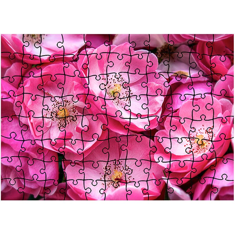 Puzzle Heartwork 96 piese, Trandafiri violet salbatici, Latime 40,5 cm x Inaltime 28,5 cm
