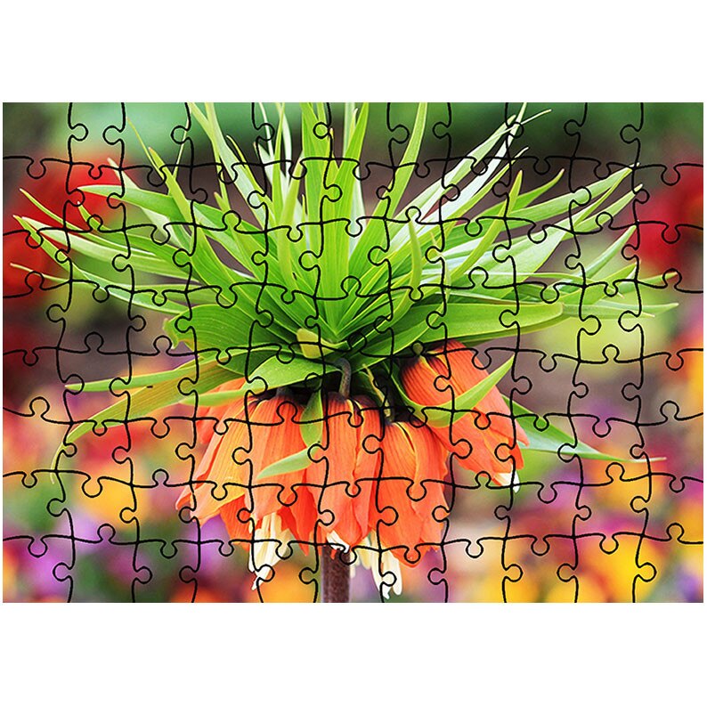 Puzzle Heartwork 96 piese, Floare Exotica Bokeh, Latime 40,5 cm x Inaltime 28,5 cm