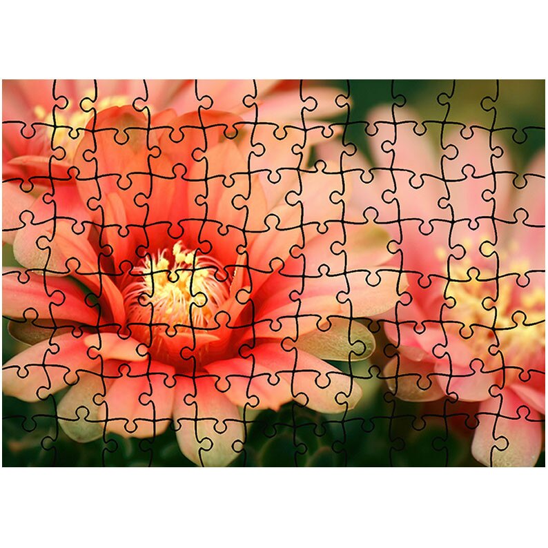 Puzzle Heartwork 96 piese, Flori de cactus, Latime 40,5 cm x Inaltime 28,5 cm
