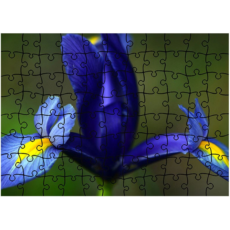 Puzzle Heartwork 96 piese, Iris albastru, Latime 40,5 cm x Inaltime 28,5 cm