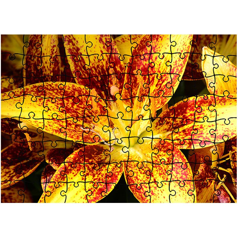 Puzzle Heartwork 96 piese, Liliac asiatic, Latime 40,5 cm x Inaltime 28,5 cm