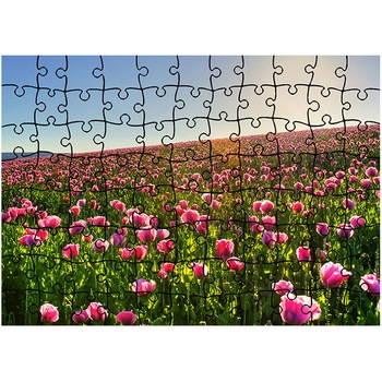 Puzzle Heartwork 96 piese, Superb camp colorat cu flori, Latime 40,5 cm x Inaltime 28,5 cm Puzzle Heartwork 96 piese, Superb camp colorat cu flori, Latime 40,5 cm x Inaltime 28,5 cm