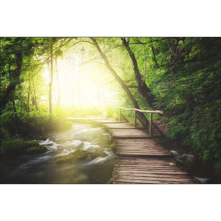 Fototapet Padure Copaci Apa 450cm x 300cm Soare, Verde, Creative decor, Vedere, Efect 3D