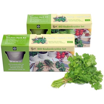 Mix de plante aromatice Organic Kitchen Herbs, set de cultivare, 3 Ghivece Mix de plante aromatice Organic Kitchen Herbs, set de cultivare, 3 Ghivece