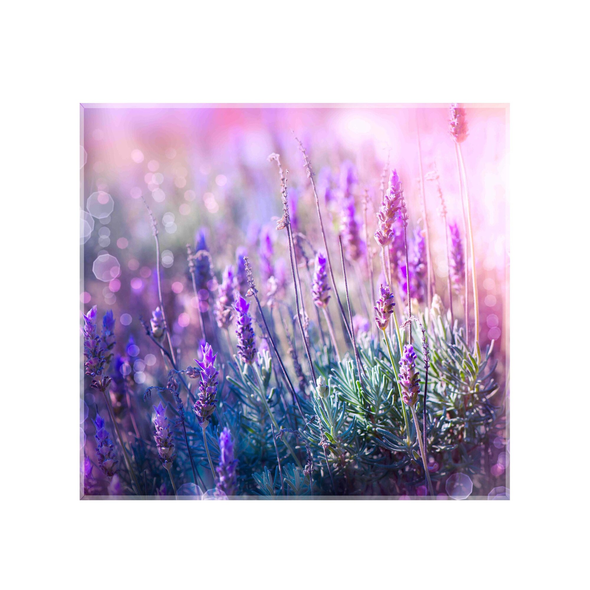 Panou decorativ sticla bucatarie securizata Saint Gobain Glass, imprimata 60x55cm, protectie antistropire pentru aragaz, Ambra Deco, Lavanda