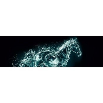 Panou sticla decorativa bucatarie 600 x 1600 Horse Panou sticla decorativa bucatarie 600 x 1600 Horse