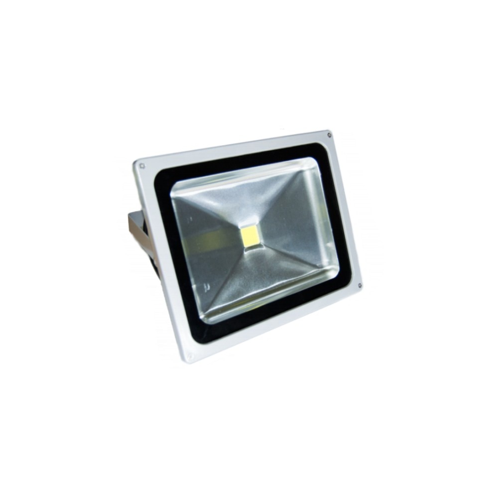 Proiector Led 50W Alb Rece, ZDM