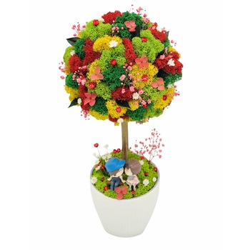 Aranjament floral tip Copacel / Pomisor cu licheni naturali stabilizati si plante naturale criogenate si uscate, Eventissimi, Verde, 36 cm, vaza ceramica, personalizabil Aranjament floral tip Copacel / Pomisor cu licheni naturali stabilizati si plante naturale criogenate si uscate, Eventissimi, Verde, 36 cm, vaza ceramica, personalizabil