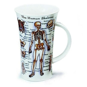 Cana - Dunoon Glencoe The Human Body Cana - Dunoon Glencoe The Human Body