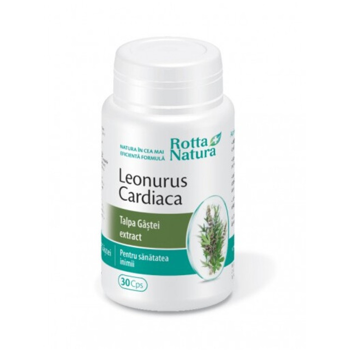 Leonorus Cardiaca Talpa Gastei extract, Rotta Natura, 30 capsule