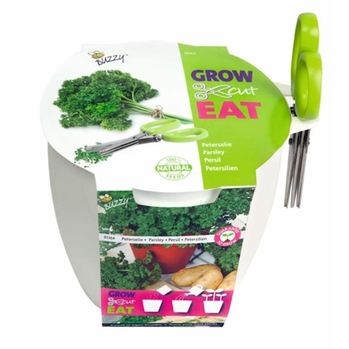 Patrunjel, set de cultivare plante aromatice pentru interior Grow, Cut and Eat, Holland, Bio, 1 buc