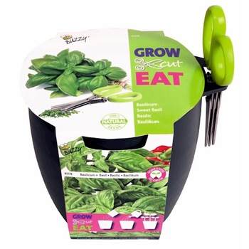 Busuioc, set de cultivare plante aromatice pentru interior Grow, Cut and Eat, Holland, Bio, 1 buc Busuioc, set de cultivare plante aromatice pentru interior Grow, Cut and Eat, Holland, Bio, 1 buc